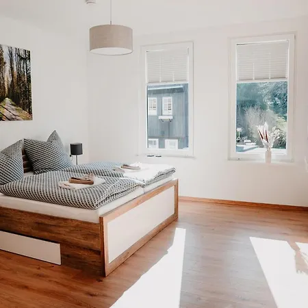 Ferienwohnung Erdgeschoss Wohnwerk Lautenthal Harz Langelsheim