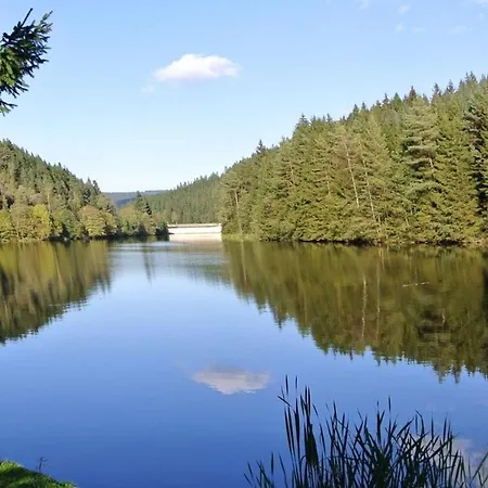 Lejlighed Ferienwohnung Erdgeschoss Wohnwerk Lautenthal Harz