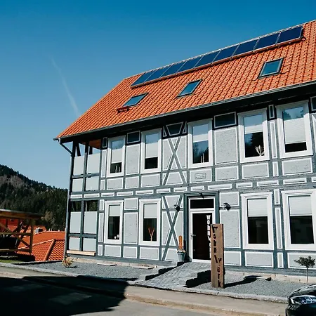 Lejlighed Ferienwohnung Erdgeschoss Wohnwerk Lautenthal Harz