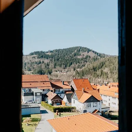 Lejlighed Ferienwohnung Erdgeschoss Wohnwerk Lautenthal Harz Langelsheim